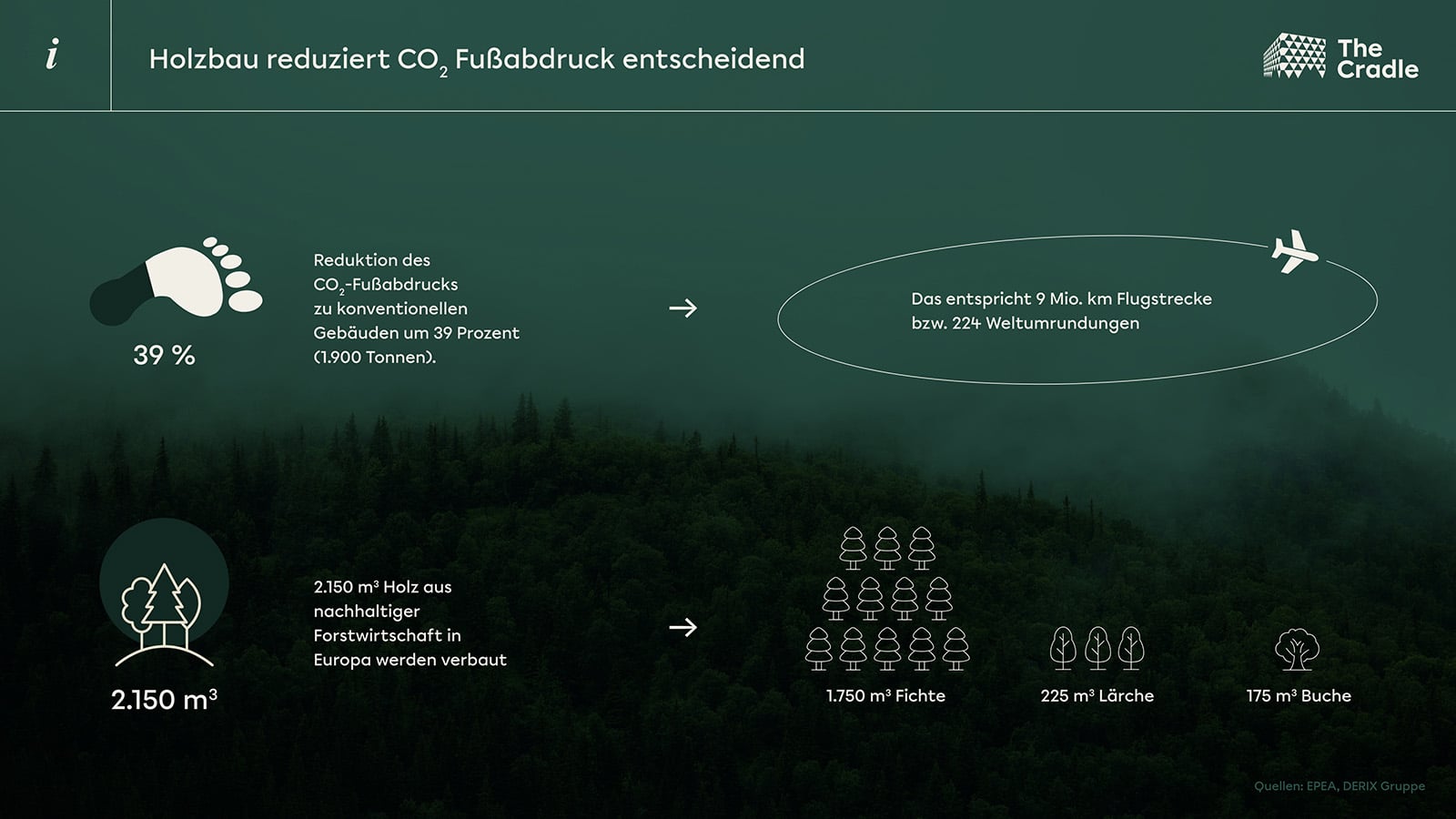 Infografik Bauen mit Holz